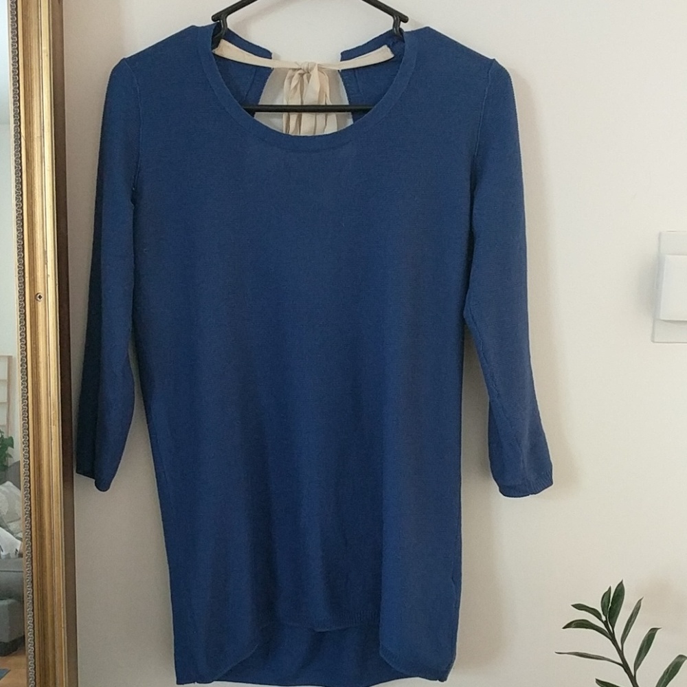 Aritzia | T babaton  long sweater